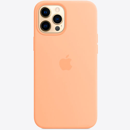 Чохли для iPhone 12 Pro Max