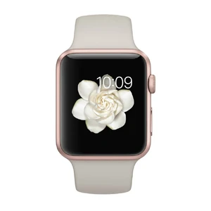 Смарт-часы Apple Watch Sport 42mm Rose Gold