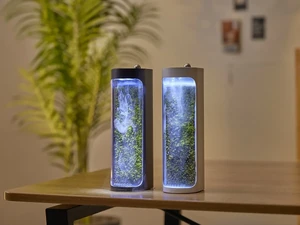 Воздухоочиститель Moss Air с функцией увлажнения - Фото 2