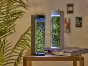 Воздухоочиститель Moss Air с функцией увлажнения - Фото 3