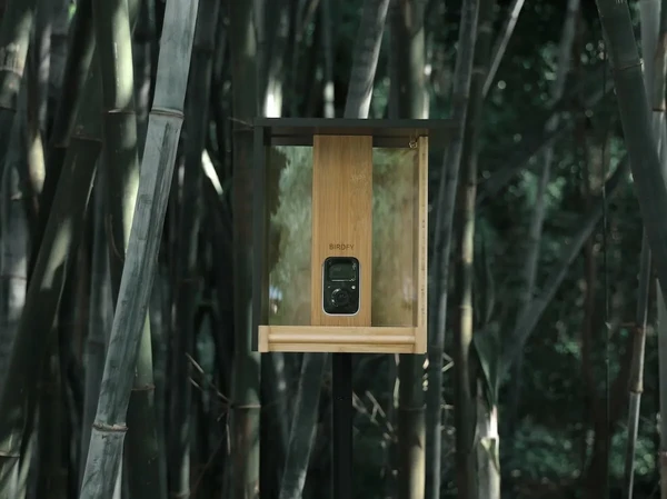 Экологическая кормушка для птиц с AI камерой Netvue Birdfy Bamboo