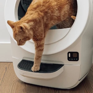 Самоочищающийся лоток для кошек Whisker Litter-Robot EVO White с Wi-Fi и контролем запаха - Фото 4