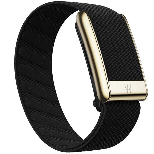 Ремешок WHOOP 5.0 SuperKnit Luxe Bands Obsidian with Gold в Николаеве