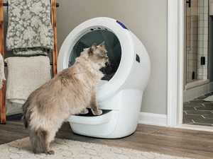 Самоочищувальний лоток для котів Whisker Litter-Robot 4 з Wi-Fi та контролем запаху