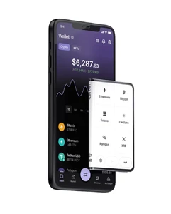 Апаратний холодний гаманець Ledger Stax для криптовалюти та NFT з дисплеєм та USB-C, підтримка 5000+ монет, бездротова зарядка