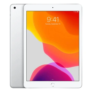 Apple iPad 7 (2019) Wi-Fi + Cellular 128Gb Silver (MW6F2)