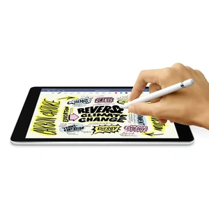 Apple iPad 9 10.2" (2021) Wi-Fi 256Gb Silver (MK2P3) - Фото 4