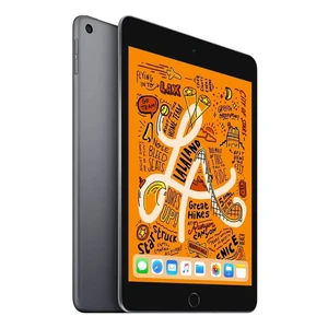 Apple iPad Mini 5 (2019) Wi-Fi 256Gb Space Gray (MUU32) - Фото 2