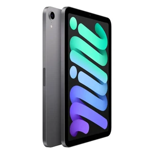 Apple iPad mini 6 (2021) Wi-Fi 64GB Space Gray (MK7M3) - Фото 2