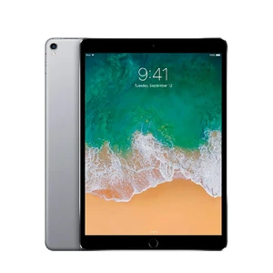 Apple iPad Pro 10.5" Wi-Fi 256Gb Space Gray (MPDY2)