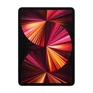 Apple iPad Pro 11" M1 (2021) Wi-Fi+Cellular 2Tb Space Gray (MHN23) - Фото 2