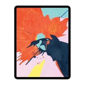 Apple iPad Pro 12.9" (2018) Wi-Fi 1Tb Silver (MTFR2) - Фото 3