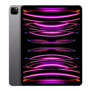 Apple iPad Pro 12.9" M2 (2022) Wi-Fi 1TB Space Gray (MNXW3) MNXW3 - Фото 1