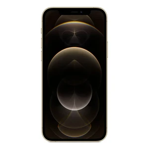 Apple iPhone 12 Pro 256Gb Gold (MGLV3 / MGMR3) - Фото 2