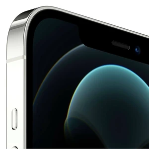 Apple iPhone 12 Pro Max 512Gb Silver (MGDH3) - Фото 2