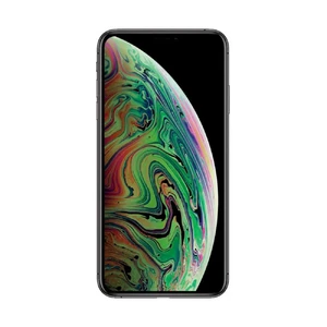Apple iPhone Xs Max 256Gb (Space Gray) Dual Sim - Фото 3