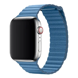 Ремінець Apple Leather Loop Forest Cornflower Large (MV2Y2) для Apple Watch Ultra 49mm | 45mm | 44mm | 42mm MV2Y2 - Фото 1