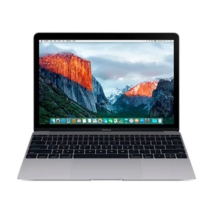 Apple MacBook 12" 256Gb Space Gray 2017 (MNYF2)