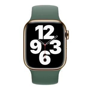 Силиконовый монобраслет Apple Solo Loop Eucalyptus (MN333) для Apple Watch 41mm | 40mm | 38mm Размер 2 - Фото 2