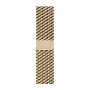 Смарт-часы Apple Watch Series 6 GPS + Cellular, 40mm Graphite Stainless Steel Case with Gold Milanese Loop (M0DF3 | M0DW3) - Фото 3