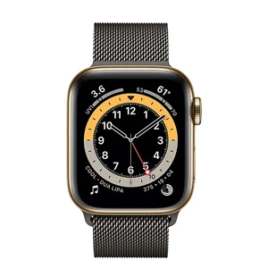 Смарт-часы Apple Watch Series 6 GPS + Cellular, 40mm Gold Stainless Steel Case with Graphite Milanese Loop (MOD93 | MODU3) - Фото 2