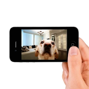 IP-камера Belkin NetCam Wi-Fi Camera with Night Vision - Фото 5