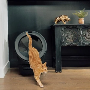 Самоочищающийся лоток для кошек Whisker Litter-Robot 5 Black с Wi-Fi и контролем запаха - Фото 2