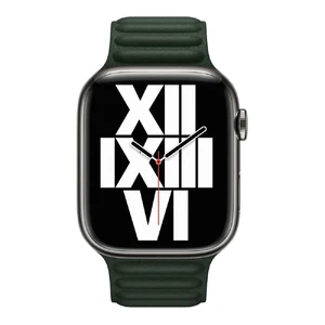 Ремешок iLoungeMax Leather Link Magnetic Sequoia Green для Apple Watch Ultra 49mm | 45mm | 44mm | 42mm (M | L) OEM - Фото 2