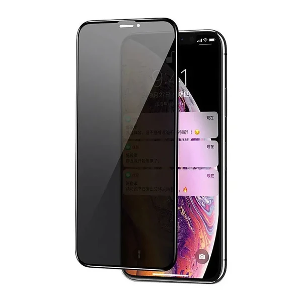 Захисне скло iLoungeMax Privacy 5D Full Glue Black для iPhone 12 Pro Max