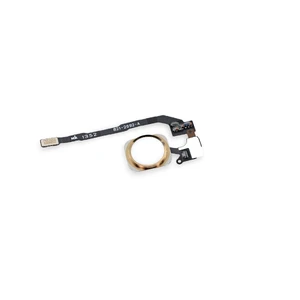 Кнопка Home + шлейф (Gold) для iPhone 5S | SE