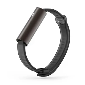 Фитнес-браслет Misfit Ray Carbon Black | Black Sport Band