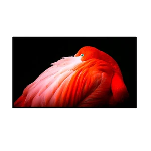 Монитор Apple Pro Display XDR (нанотекстурное покрытие стекла) (MWPF2)