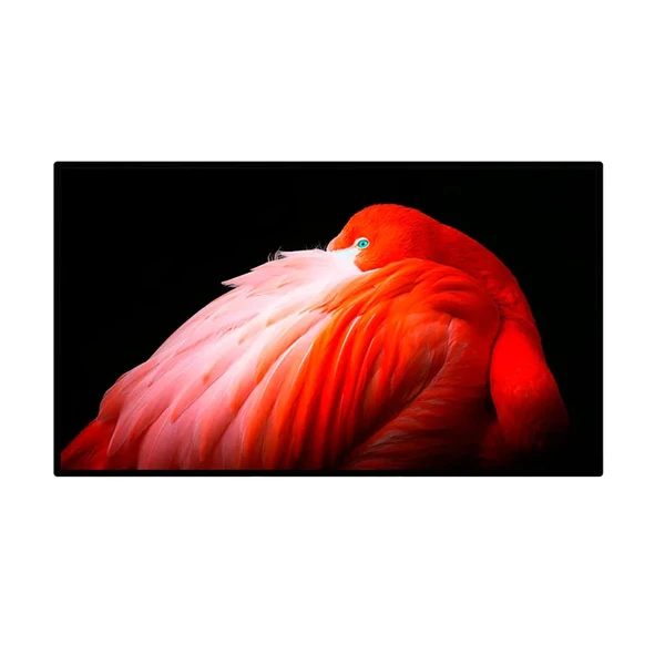 Монитор Apple Pro Display XDR (нанотекстурное покрытие стекла) (MWPF2)