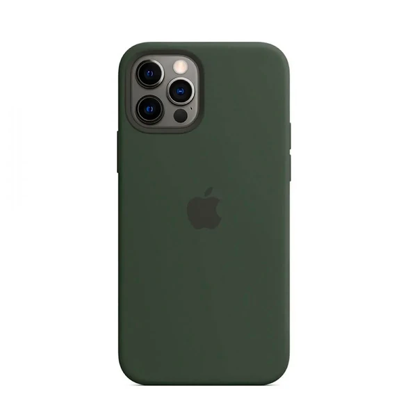 Силиконовый чехол iLoungeMax Silicone Case MagSafe Cyprus Green для iPhone 12 Pro Max OEM (c поддержкой анимации)
