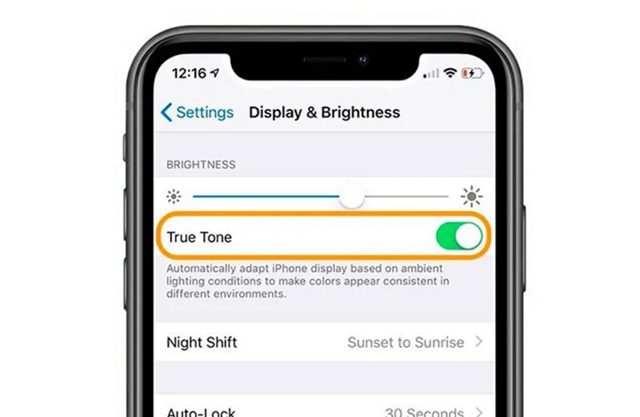 Ремонт функції True Tone iPhone 12