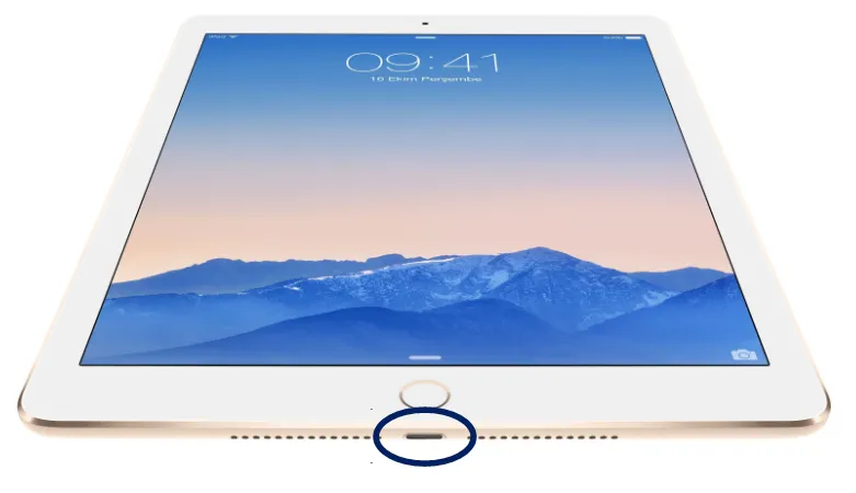 Ремонт разъема зарядки (синхронизации) iPad 9.7" (2018)