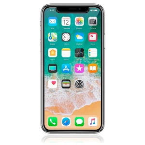 Защитное стекло ROCK 2.5D Tempered Glass Protector 0.26mm для iPhone 11 Pro | X | XS