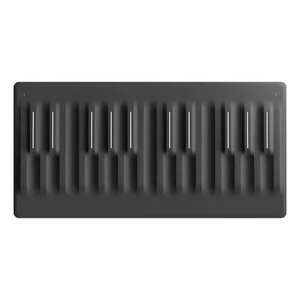 Midi-клавиатура Roli Seaboard Block