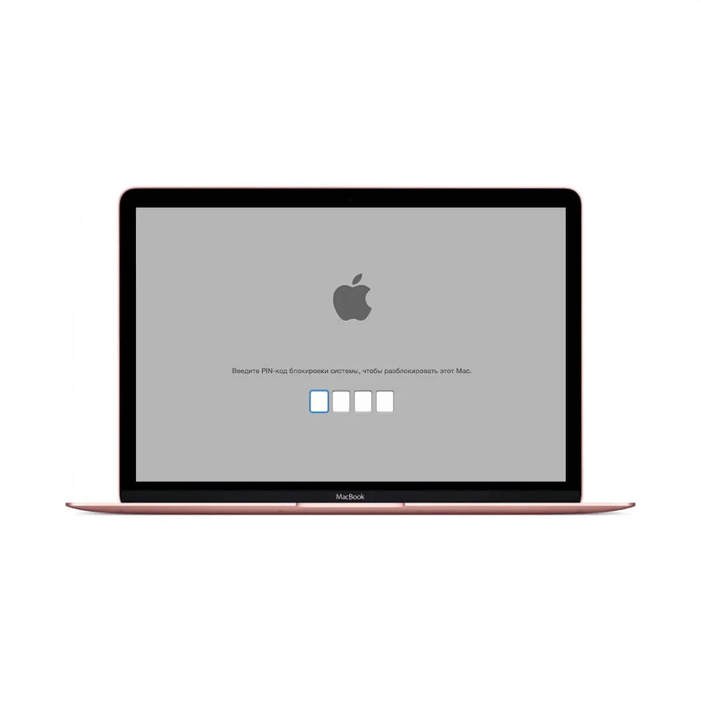 Снятие блокировки EFI MacBook 12" А1534