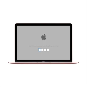 Розблокування EFI MacBook 12