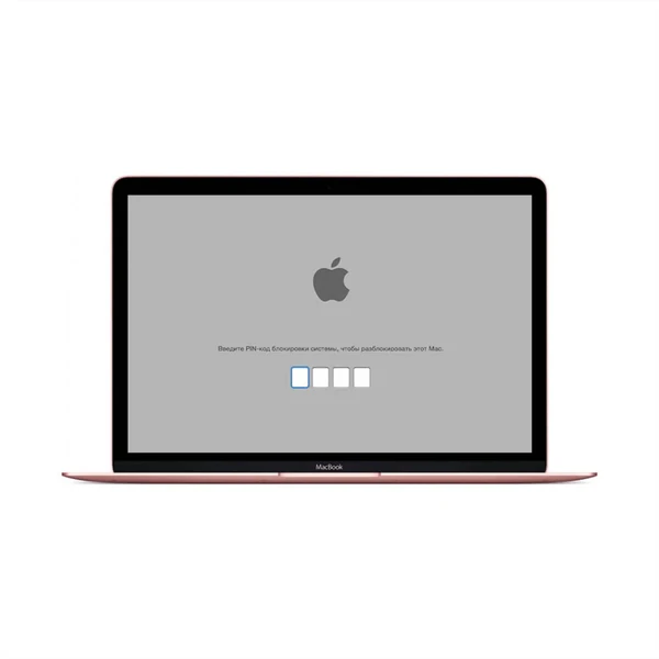 Розблокування EFI MacBook 12"А1534