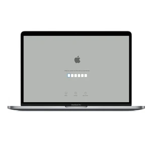 Снятие блокировки EFI MacBook Pro 13