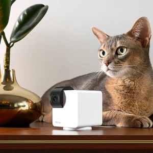 Розумна камера відеоспостереження Petcube Cam 360 для домашніх тварин, з обертанням на 360° - Фото 3