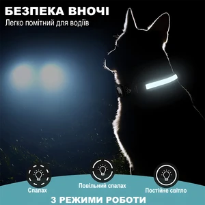 Нашийник для собак з чохлом для AirTag та підсвіткою, розмір M (33–45 см) | iLoungeMax TagCollar - Фото 2