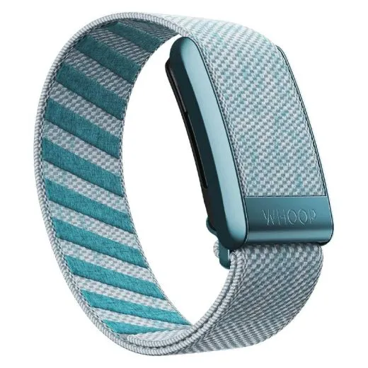 Ремешок WHOOP 4.0 Superknit Ice