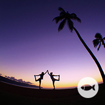 Olloclip-4-in-1-fisheye Olloclip-4-in-1-fisheye
