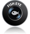 fish eye lens