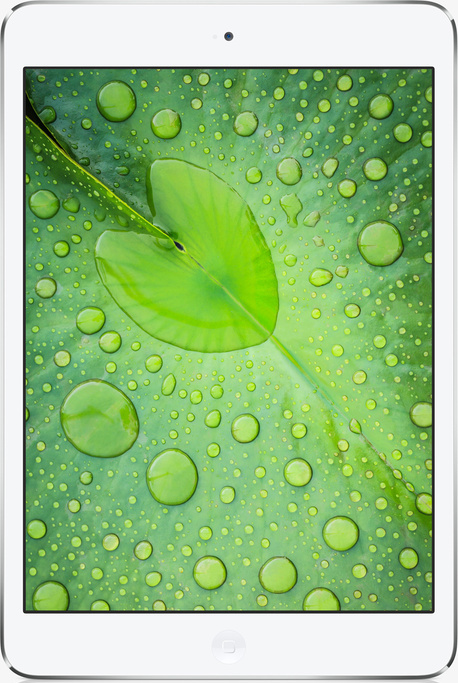 iPad Mini Retina Display ipad-mini-retina-display