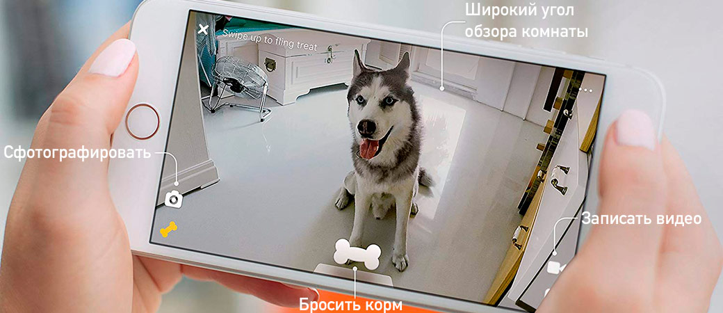 Розумна годівниця з камерою Petcube Bites Matte Silver для домашніх тварин