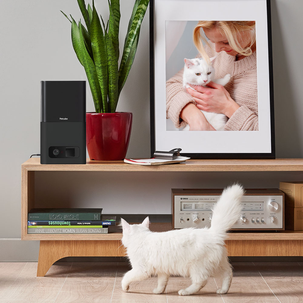 Розумна годівниця з камерою Petcube Bites Matte Silver для домашніх тварин